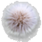 taffy91111 Avatar of taffy91111